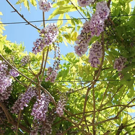 Des Eaux 3* Экс-ле-Бен