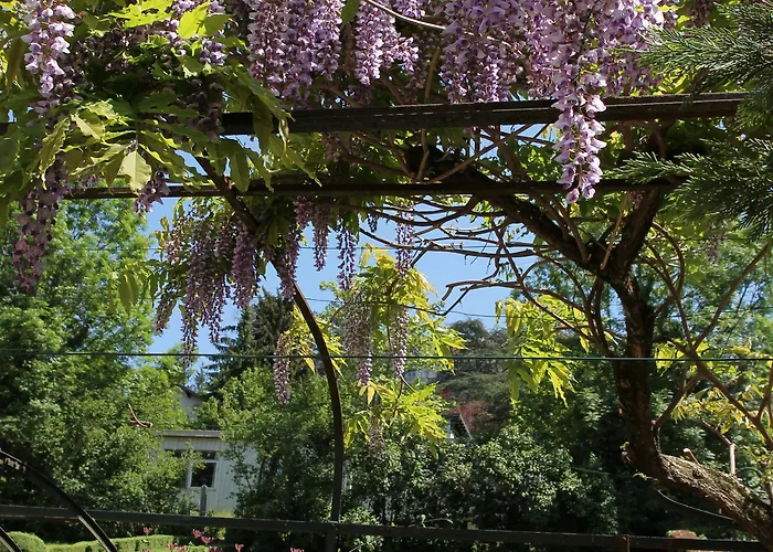 Hotel Des Eaux Aix-les-Bains